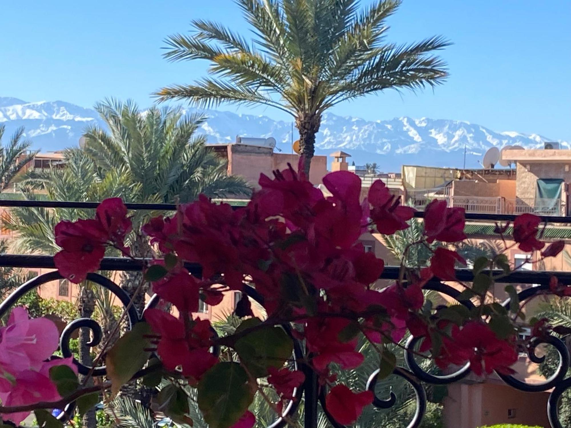 Palmier Fleuri Marrakesch